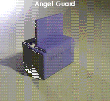 100_0798 - angel guard